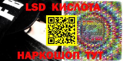 стафф Донецк