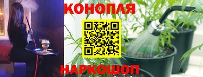 стафф Донецк