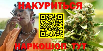 СК Дубна