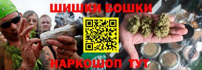 СК Дубна