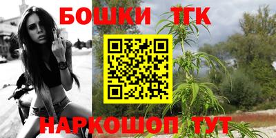 стафф Донецк