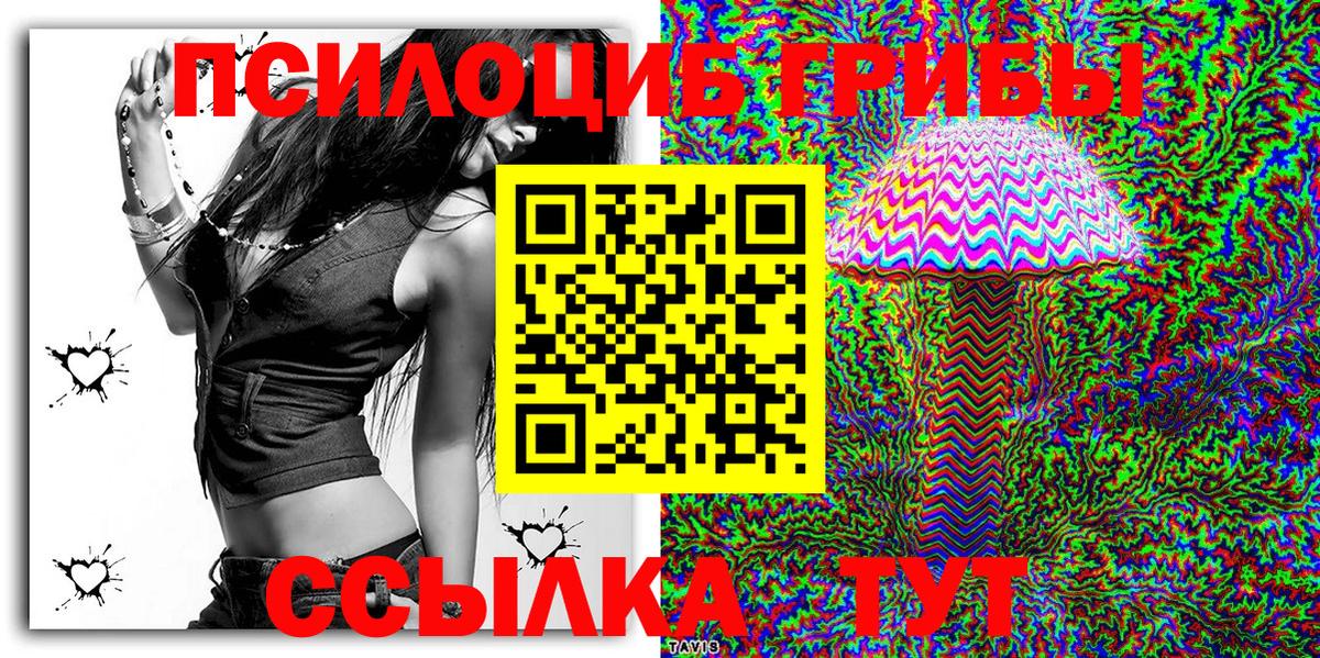Псилоцибиновые грибы Cubensis Миасс